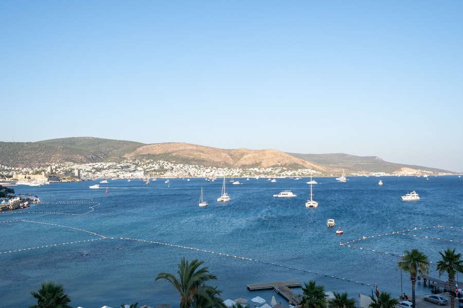 Exploring the Best Cruise Lines for Your Next Adventure 11 image 1126